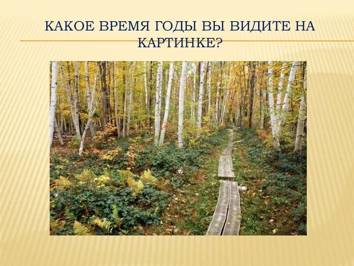 Какое время годы вы видите на картинке?