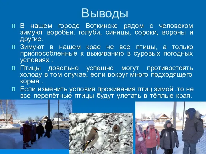 Выводы В нашем городе Воткинске рядом с человеком зимуют воробьи, голуби, синицы, сороки,