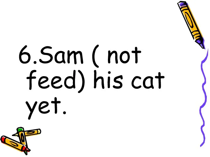 6.Sam ( not feed) his cat yet.