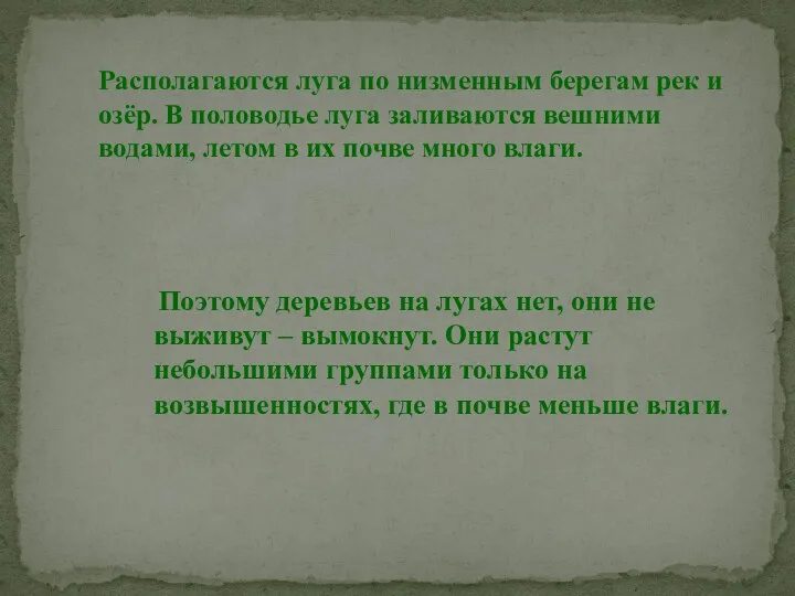 Поэтому деревьев на лугах нет, они не выживут – вымокнут.