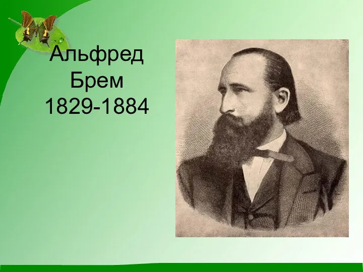 Альфред Брем 1829-1884