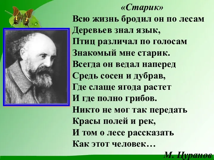 «Старик» Всю жизнь бродил он по лесам Деревьев знал язык,