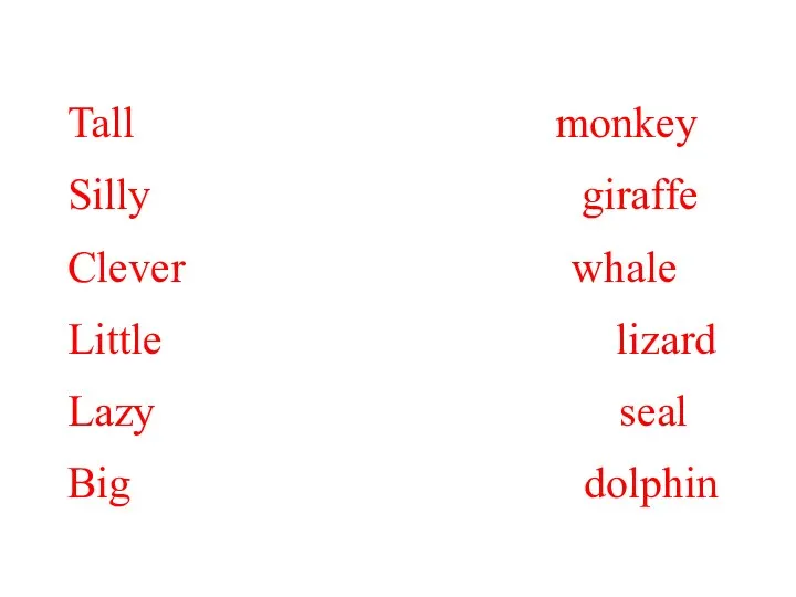 Tall monkey Silly giraffe Clever whale Little lizard Lazy seal Big dolphin