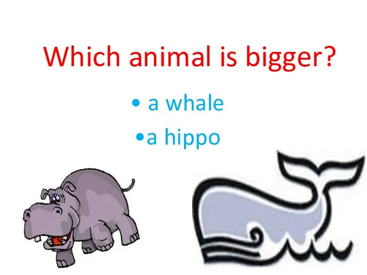 Which animal is bigger? a whale a hippo
