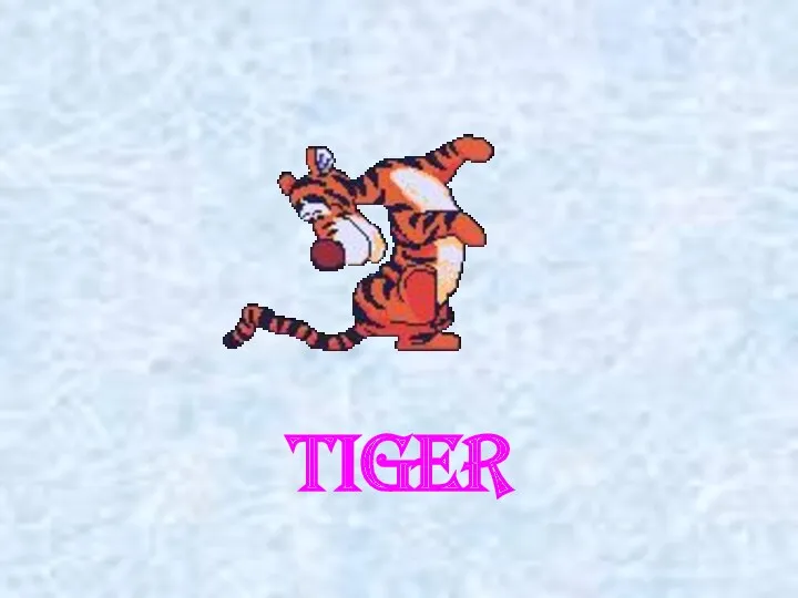 tiger