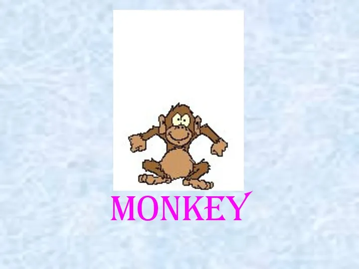 monkey