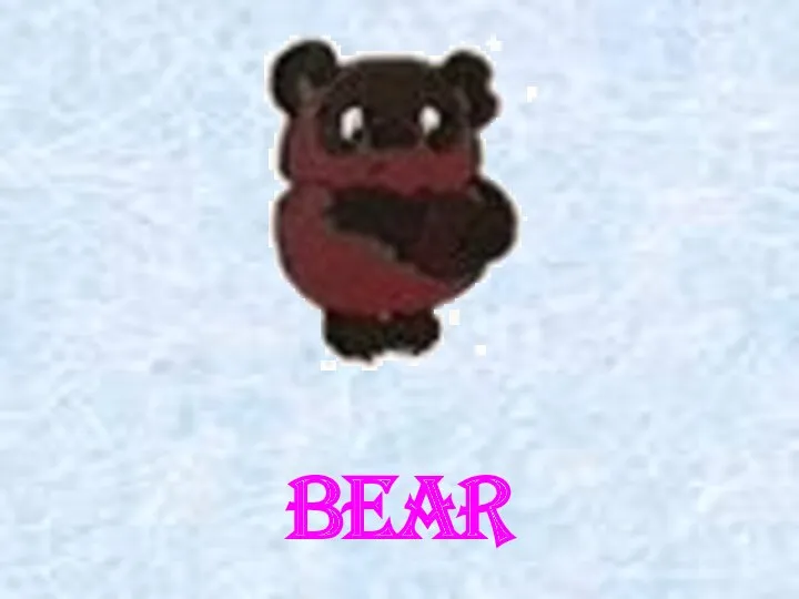 bear