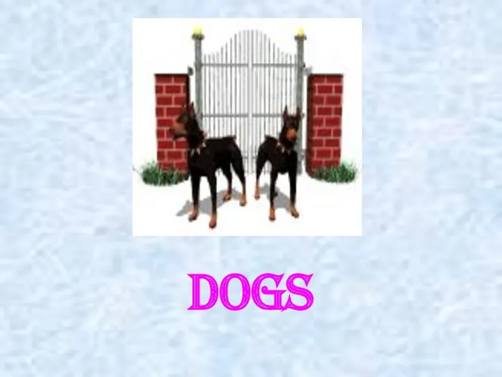 dogs
