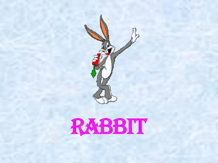 rabbit