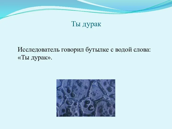 Ты дурак Исследователь говорил бутылке с водой слова: «Ты дурак».