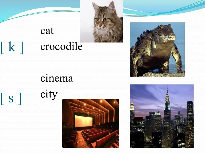 [ k ] [ s ] cat crocodile cinema city