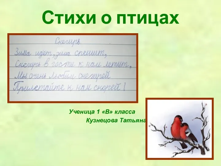 Стихи о птицах Ученица 1 «В» класса Кузнецова Татьяна.