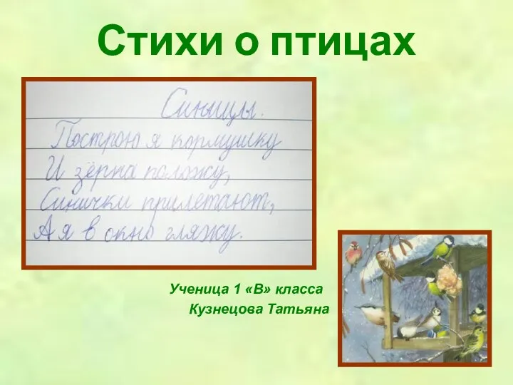 Стихи о птицах Ученица 1 «В» класса Кузнецова Татьяна