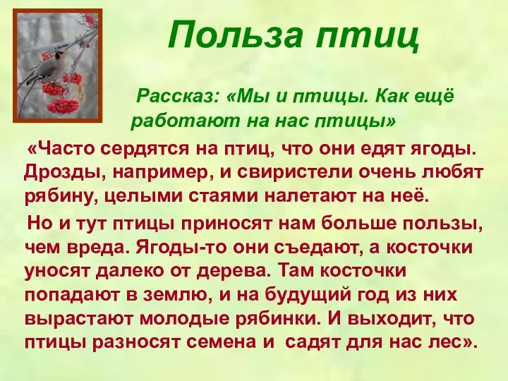 Польза птиц Рассказ: «Мы и птицы. Как ещё работают на нас птицы» «Часто