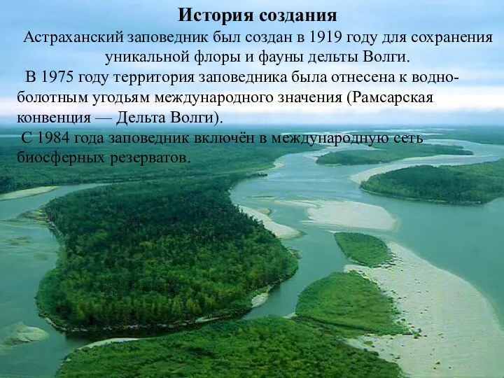 История создания Астраханский заповедник был создан в 1919 году для сохранения уникальной флоры
