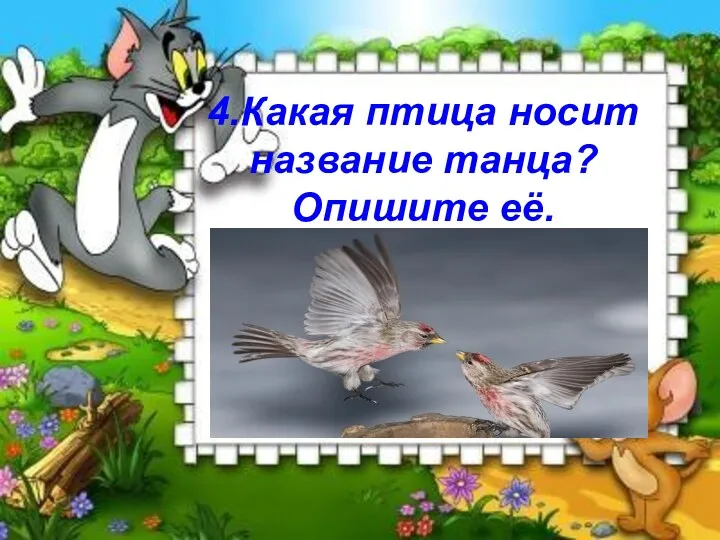 4.Какая птица носит название танца? Опишите её.