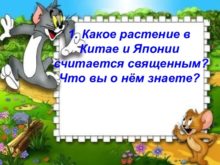 1. Какое растение в Китае и Японии считается священным? Что вы о нём знаете?