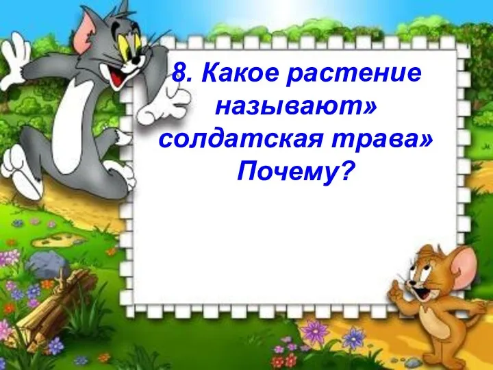 8. Какое растение называют»солдатская трава» Почему?