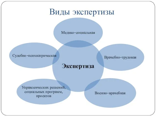 Виды экспертизы