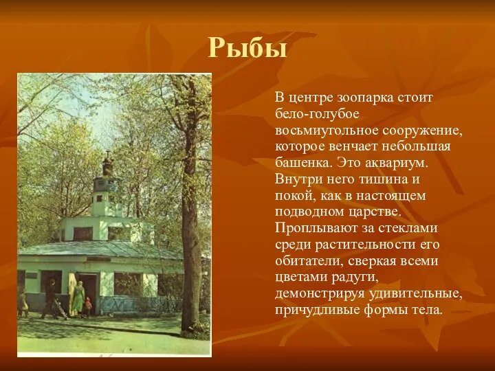 Рыбы В центре зоопарка стоит бело-голубое восьмиугольное сооружение, которое венчает небольшая башенка. Это