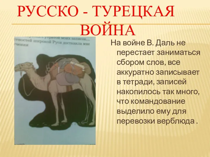 русско - турецкАЯ война На войне В. Даль не перестает заниматься сбором слов,