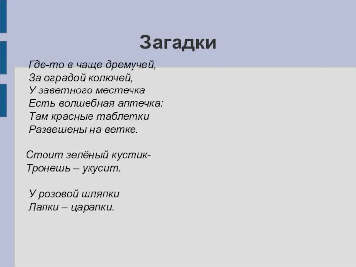 Загадки Где-то в чаще дремучей, За оградой колючей, У заветного