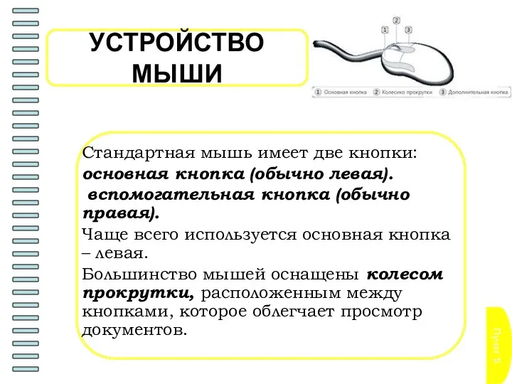 Пункт 5 УСТРОЙСТВО МЫШИ Стандартная мышь имеет две кнопки: основная