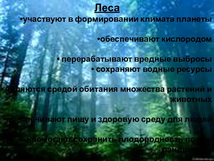 Леса участвуют в формировании климата планеты обеспечивают кислородом перерабатывают вредные