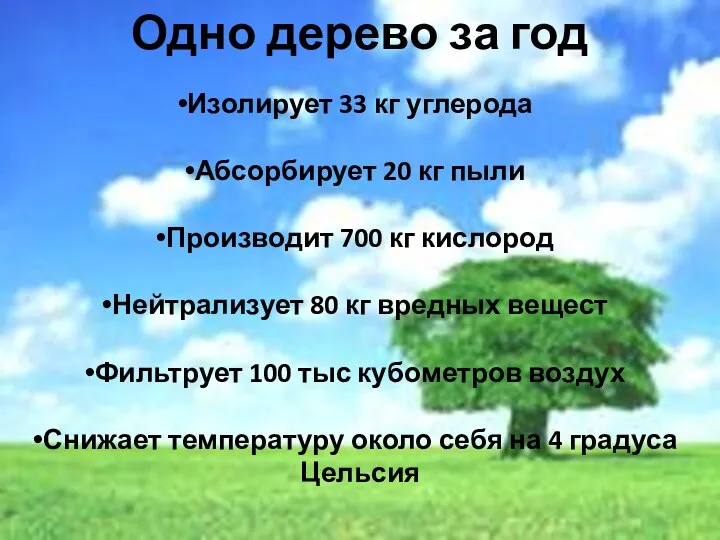 Одно дерево за год Изолирует 33 кг углерода Абсорбирует 20