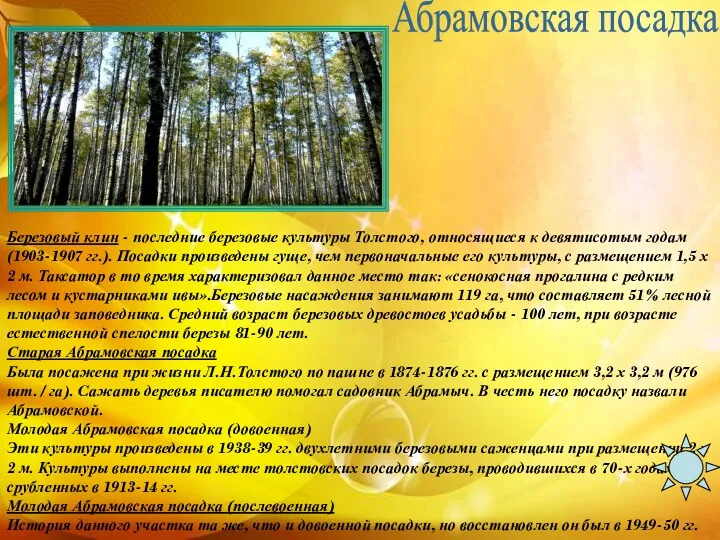 Абрамовская посадка Березовый клин - последние березовые культуры Толстого, относящиеся