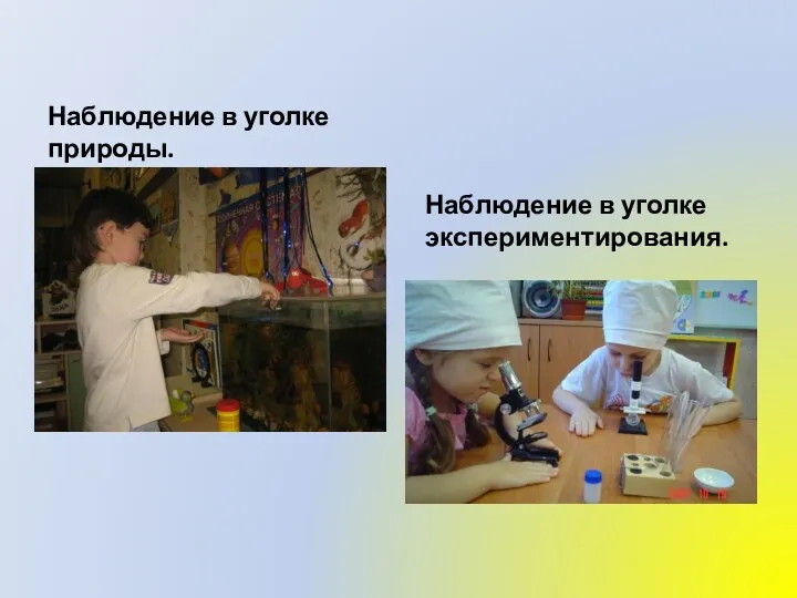 Наблюдение в уголке природы. Наблюдение в уголке экспериментирования.