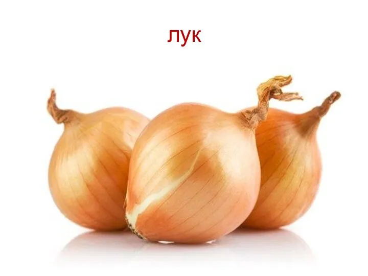 лук