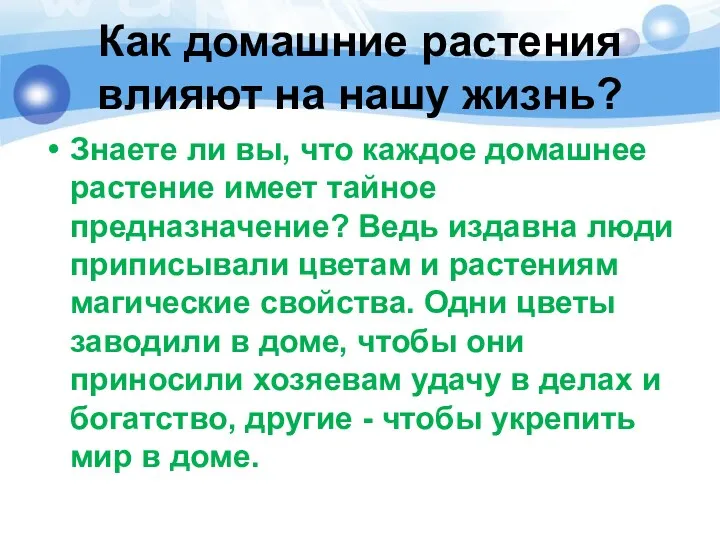 Как домашние растения влияют на нашу жизнь? Знаете ли вы, что каждое домашнее