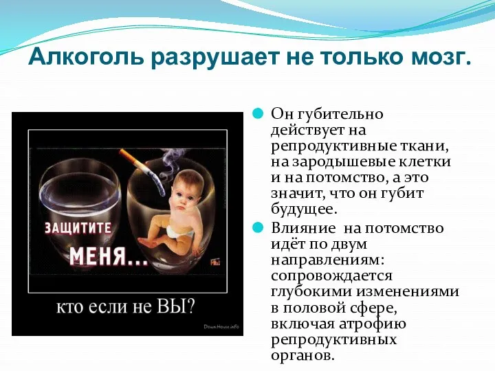 Алкоголь разрушает не только мозг. Он губительно действует на репродуктивные