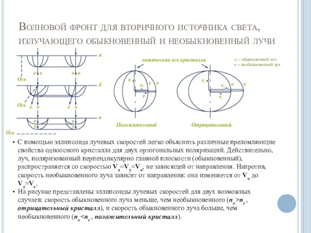 Волновой фронт для вторичного источника света, излучающего обыкновенный и необыкновенный