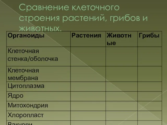 Сравнение клеточного строения растений, грибов и животных.