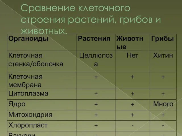 Сравнение клеточного строения растений, грибов и животных.