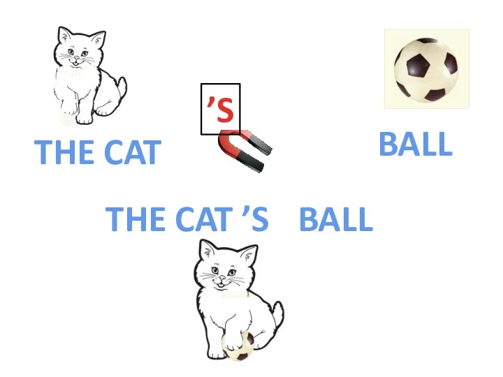 THE CAT BALL ’S THE CAT ’S BALL