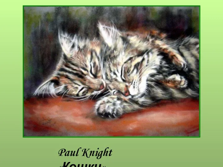 Paul Knight «Кошки»