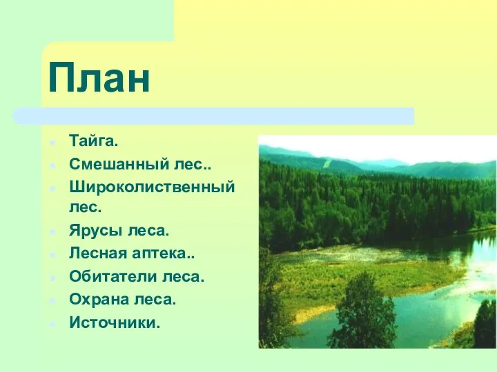 Тайга. Смешанный лес.. Широколиственный лес. Ярусы леса. Лесная аптека.. Обитатели леса. Охрана леса. Источники. План