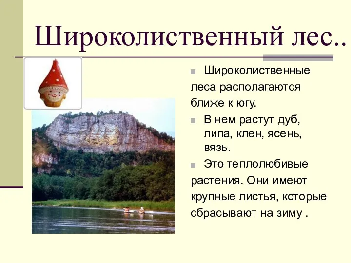 Широколиственные леса располагаются ближе к югу. В нем растут дуб, липа, клен, ясень,