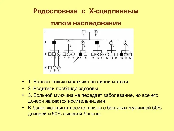 Родословная с Х-сцепленным типом наследования 1. Болеют только мальчики по