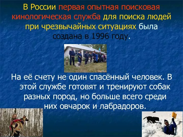 В России первая опытная поисковая кинологическая служба для поиска людей