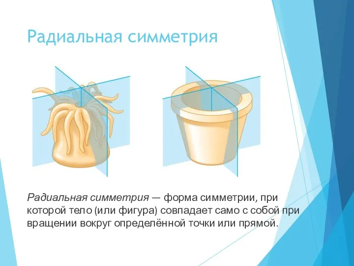 Радиальная симметрия Радиальная симметрия — форма симметрии, при которой тело