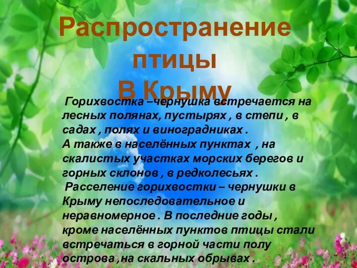 Распространение птицы В Крыму Горихвостка –чернушка встречается на лесных полянах,