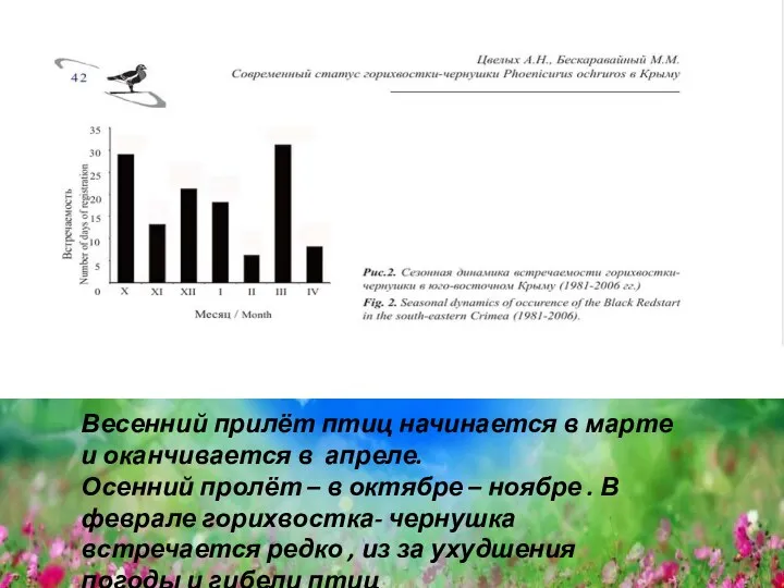 Весенний прилёт птиц начинается в марте и оканчивается в апреле.