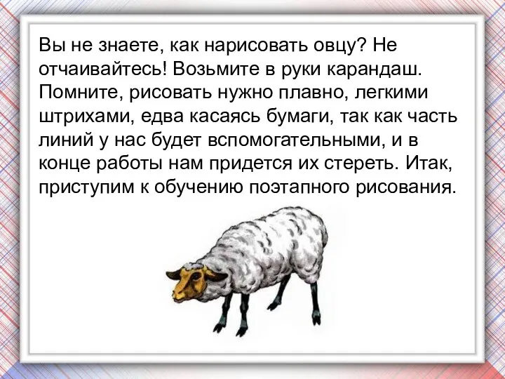 Вы не знаете, как нарисовать овцу? Не отчаивайтесь! Возьмите в