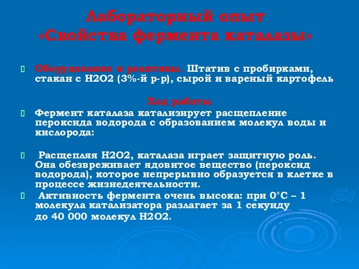 Лабораторный опыт «Свойства фермента каталазы» Оборудование и реактивы. Штатив с