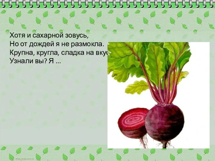 Хотя и сахарной зовусь, Но от дождей я не размокла.