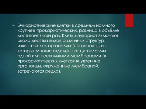 Эукариотические клетки в среднем намного крупнее прокариотических, разница в объёме